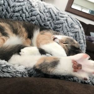 Meet your Posher, Libby